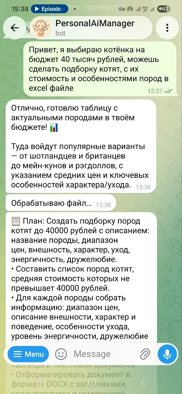 Чат с PersonalAiManagerBot: запрос сделать подборку пород котят в Excel